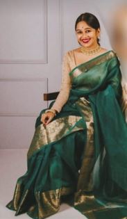 Pure Organza Sarees