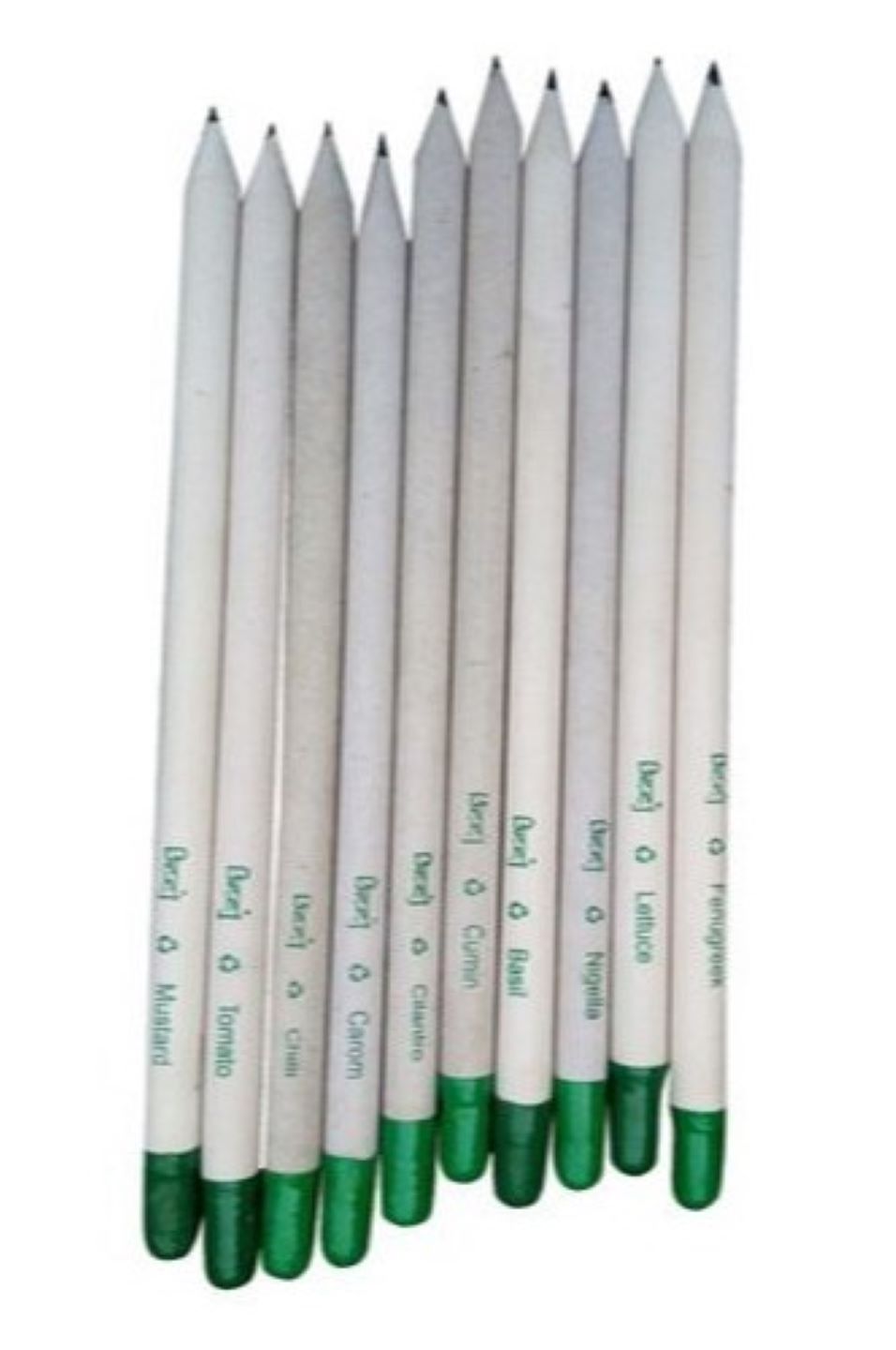 Vibrant Jungle White Paper Plantable Pencil-black Lead 